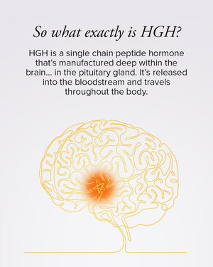 A drawing of a human brain with the area where the HGH-producing pituitary gland sits highlighted.