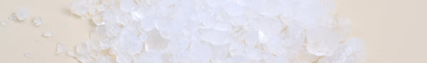 Close-up of white flowers on a light beige background