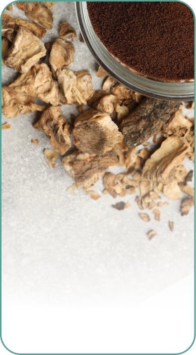 Prebiotics