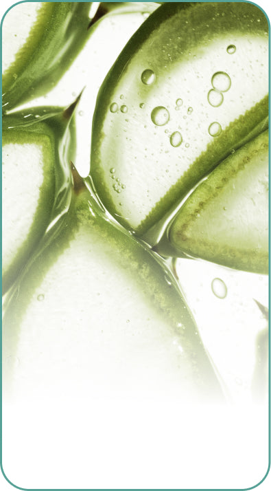 Aloe Vera & Vitamin E
