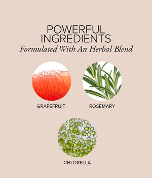 Small pictures depicting grapefruit, rosemary, and chlorella, some key ingredients in Skin Restore's antioxidant blend