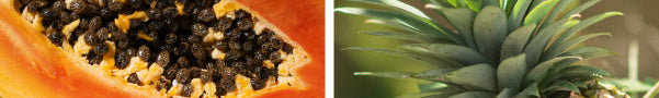 Close-up of a papaya with seeds and a pineapple on a white background